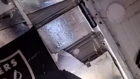 dsmock online show from February 15, 10:58 am