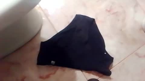 dthedog12 online show from February 15, 10:52 pm