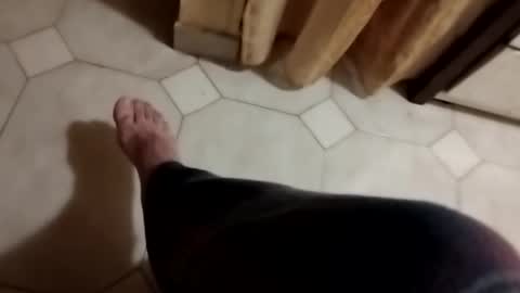 dthedog12 online show from November 4, 10:11 pm