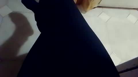 dthedog12 online show from February 20, 10:12 pm