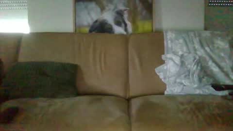 Mr X online show from November 13, 3:04 pm