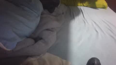 dv3nd3 online show from January 31, 7:44 pm