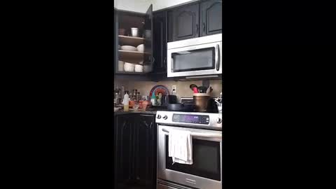 eat_a_lot_of online show from January 18, 7:12 pm