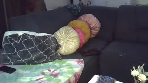 Snapshot of ebonykiki chatting on January 12, 9:51 pm ebonykiki online show from January 12, 9:51 pm