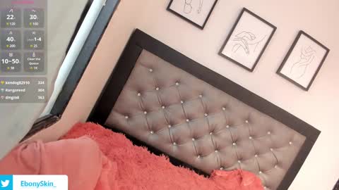 Snapshot of ebonyskinn chatting on February 26, 4:05 pm ebonyskinn online show from February 26, 4:05 pm