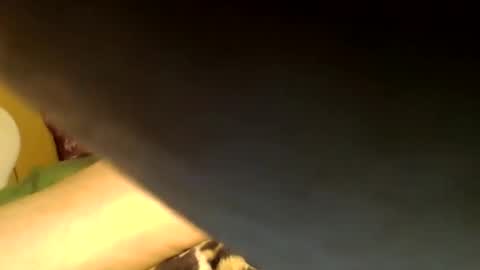 Eddie online show from March 20, 1:05 pm