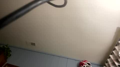 PiedPiper online show from October 10, 11:16 am