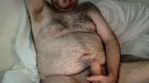 elabear online show from February 9, 6:39 am