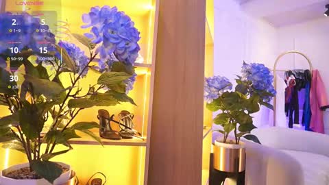 Elasummeer online show from November 24, 11:53 am