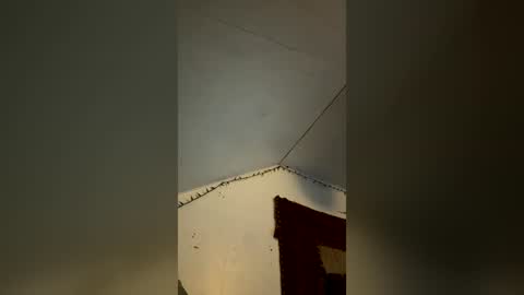 elgato66699 online show from July 30, 5:19 am