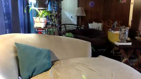 Daddy Emmy online show from March 23, 3:28 pm