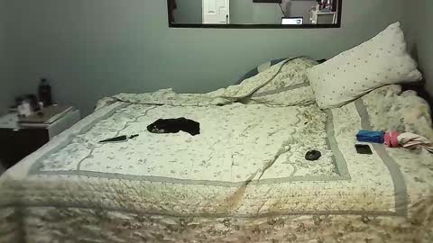 Elpouro online show from November 8, 8:28 am