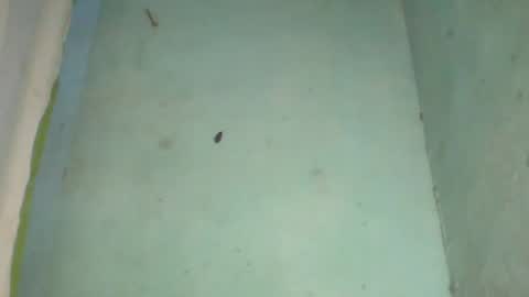 enarson online show from March 1, 5:17 pm