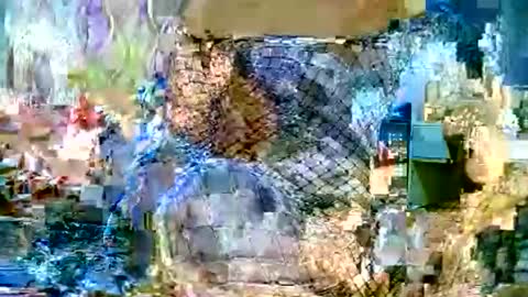 CHUN LY online show from October 2, 3:44 pm