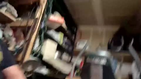 Anthony online show from February 28, 6:50 am