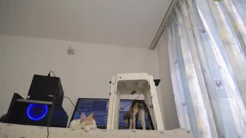 Eolicasextwo online show from March 10, 3:20 pm