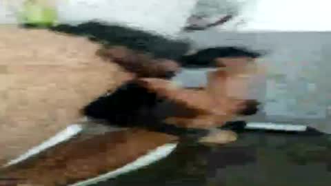 epicd512 online show from July 13, 11:52 pm