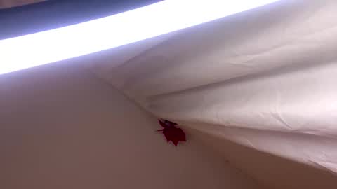 Gabs online show from March 5, 3:04 am