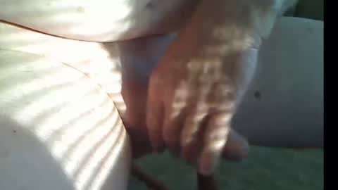 Tom online show from March 13, 1:47 pm