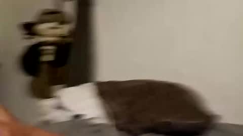 etherealer online show from October 12, 8:54 pm