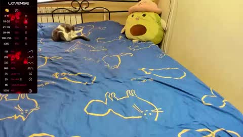 Eva online show from November 2, 10:26 am