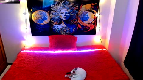 Snapshot of evie99_ chatting on October 1, 3:55 pm Evie99  online show from October 1, 3:55 pm