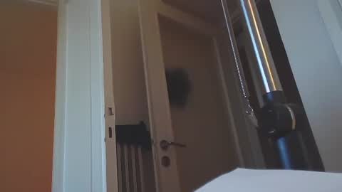 EZCODA online show from January 14, 2:43 pm