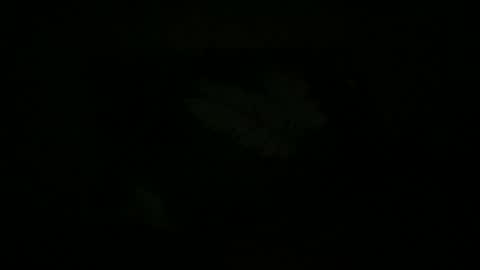 Snapshot of fabx7777 chatting on October 18, 1:21 am FABX online show from October 18, 1:21 am