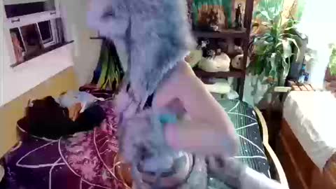 faewildflower online show from October 13, 5:20 am