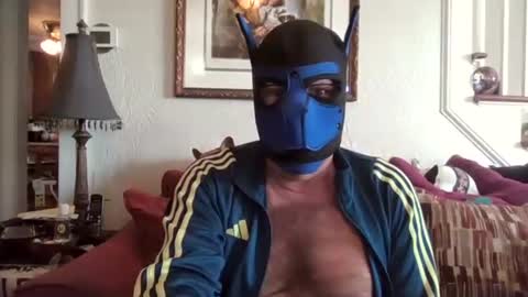 fairmount31 online show from April 12, 12:31 pm