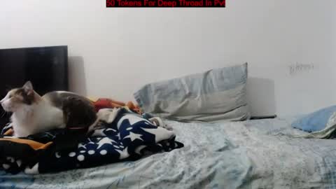 fantasyandsdreams online show from July 1, 5:05 am