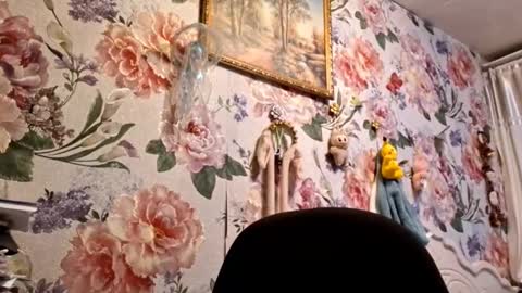 Alex online show from January 16, 10:35 am