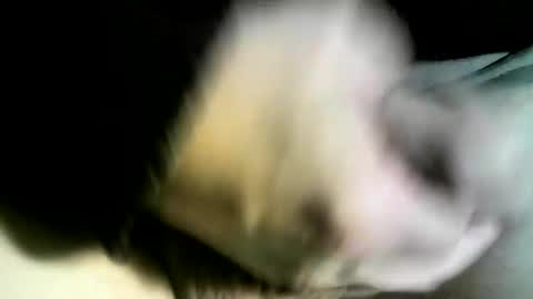 Snapshot of felicaste chatting on February 9, 3:01 pm felicaste online show from February 9, 3:01 pm