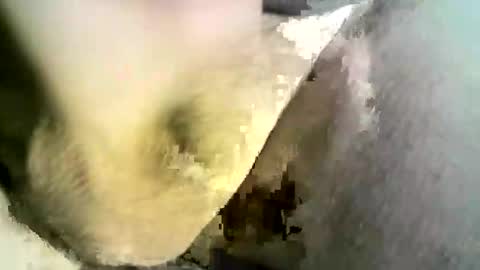 Snapshot of felicaste chatting on March 6, 11:42 pm felicaste online show from March 6, 11:42 pm