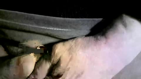 Snapshot of felicaste chatting on February 17, 4:20 am felicaste online show from February 17, 4:20 am