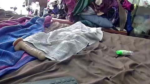 felicitybliss29 online show from September 13, 7:11 am