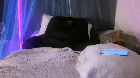 this is justice tricia a bigelow. she was fucking my husband tom girardi online show from November 6, 9:56 am