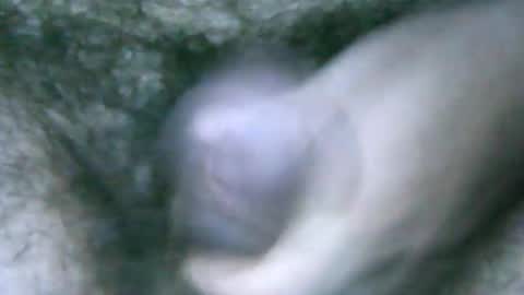 fer_2197 online show from February 6, 1:54 pm