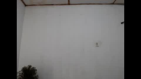 Snapshot of fernandez_latinblack chatting on December 31, 11:28 pm fernandez_latinblack online show from December 31, 11:28 pm