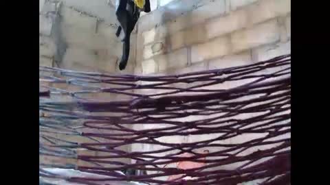 Snapshot of fernandez_latinblack chatting on October 1, 2:16 pm fernandez_latinblack online show from October 1, 2:16 pm
