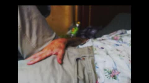 ferra_testarossa online show from October 9, 5:13 am