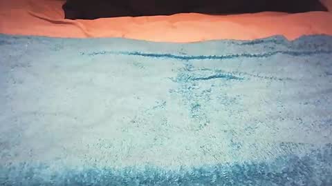 Snapshot of ffllvv chatting on February 18, 12:17 pm bbbbCock online show from February 18, 12:17 pm