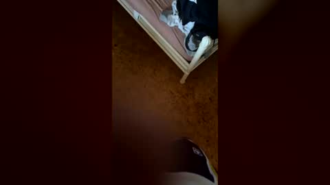 finn46548 online show from June 15, 2:42 pm