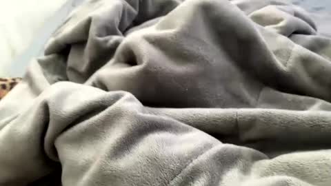 Show Starts in 20 online show from December 21, 3:53 pm