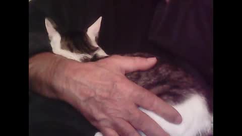 Snapshot of foolmonty chatting on October 12, 12:58 am Hooz2no online show from October 12, 12:58 am