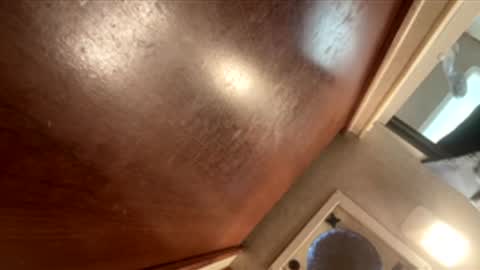 fordfocusz online show from December 3, 12:09 am