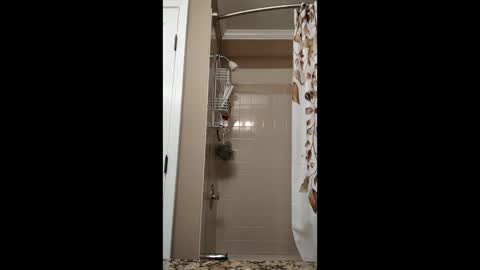 forlorndog online show from February 20, 6:37 am