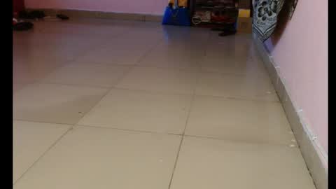 luna online show from September 15, 8:27 am