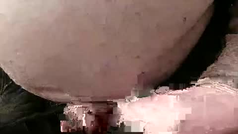 David Fredal online show from January 28, 5:03 pm