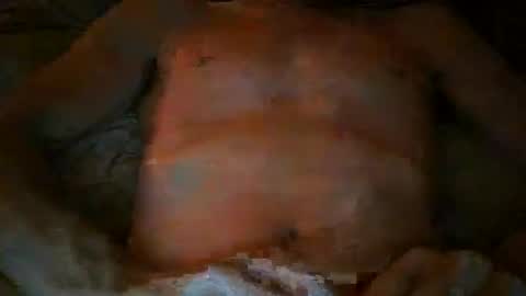 free willy online show from November 17, 4:42 pm